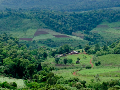 El Soberbio: La justicia rechazó demanda por desalojo de la empresa Moconá SA sobre familias colonizadoras del Lote 9 en Puerto Paraíso